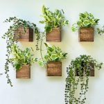 potted herbs spring home decor 2025